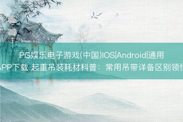 PG娱乐电子游戏(中国)IOS|Android|通用APP下载 起重吊装耗材科普:常用吊带详备区别领悟