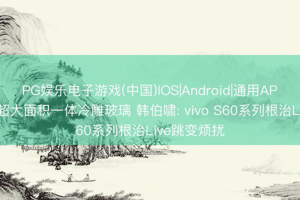 PG娱乐电子游戏(中国)IOS|Android|通用APP下载 秉承超大面积一体冷雕玻璃 韩伯啸: vivo S60系列根治Live跳变烦扰