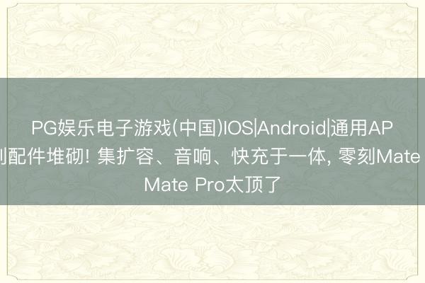 PG娱乐电子游戏(中国)IOS|Android|通用APP下载 告别配件堆砌! 集扩容、音响、快充于一体， 零刻Mate Pro太顶了