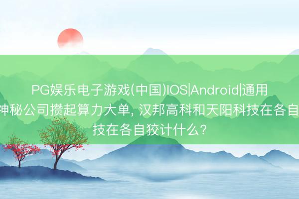 PG娱乐电子游戏(中国)IOS|Android|通用APP下载 神秘公司攒起算力大单， 汉邦高科和天阳科技在各自狡计什么?