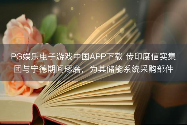 PG娱乐电子游戏中国APP下载 传印度信实集团与宁德期间琢磨，为其储能系统采购部件