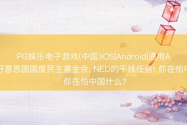 PG娱乐电子游戏(中国)IOS|Android|通用APP下载 好意思国国度民主基金会, NED的干线任务! 你在怕中国什么?