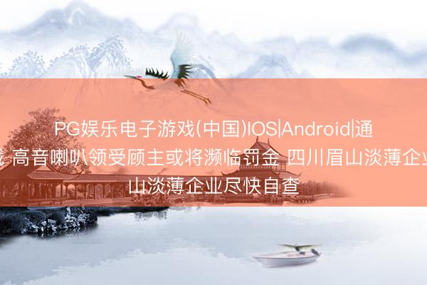 PG娱乐电子游戏(中国)IOS|Android|通用APP下载 高音喇叭领受顾主或将濒临罚金 四川眉山淡薄企业尽快自查