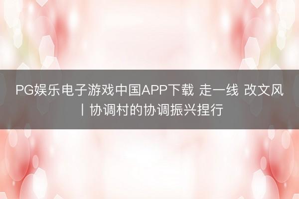PG娱乐电子游戏中国APP下载 走一线 改文风丨协调村的协调振兴捏行