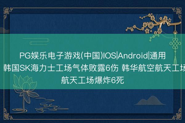 PG娱乐电子游戏(中国)IOS|Android|通用APP下载 韩国SK海力士工场气体败露6伤 韩华航空航天工场爆炸6死