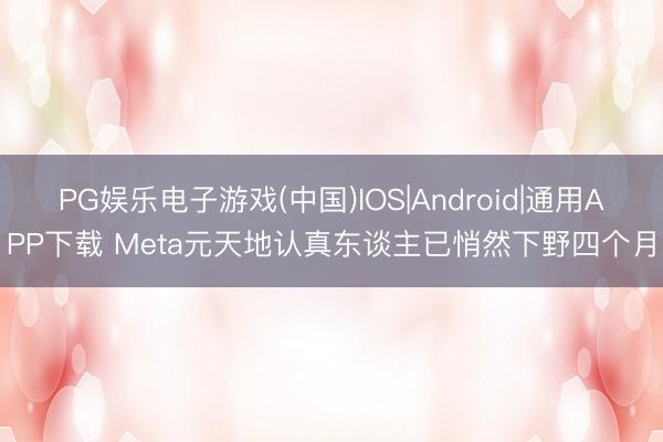 PG娱乐电子游戏(中国)IOS|Android|通用APP下载 Meta元天地认真东谈主已悄然下野四个月