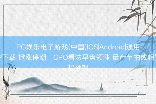 PG娱乐电子游戏(中国)IOS|Android|通用APP下载 掀涨停潮！CPO看法早盘领涨 量产节拍或超预期