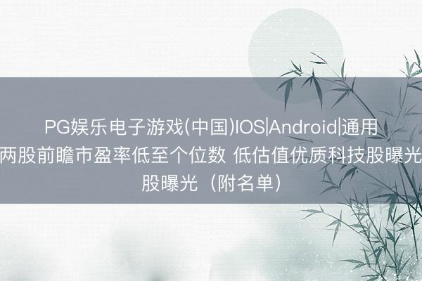 PG娱乐电子游戏(中国)IOS|Android|通用APP下载 两股前瞻市盈率低至个位数 低估值优质科技股曝光(附名单)