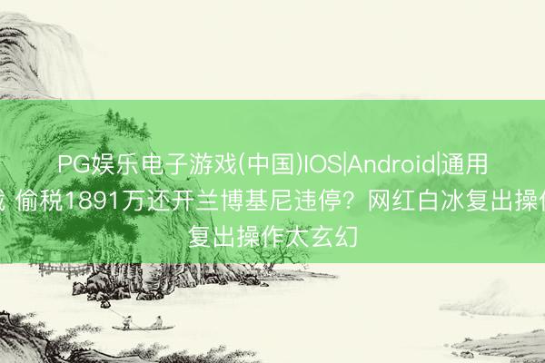 PG娱乐电子游戏(中国)IOS|Android|通用APP下载 偷税1891万还开兰博基尼违停？网红白冰复出操作太玄幻