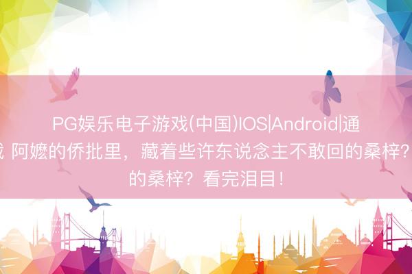 PG娱乐电子游戏(中国)IOS|Android|通用APP下载 阿嬷的侨批里，藏着些许东说念主不敢回的桑梓？看完泪目！