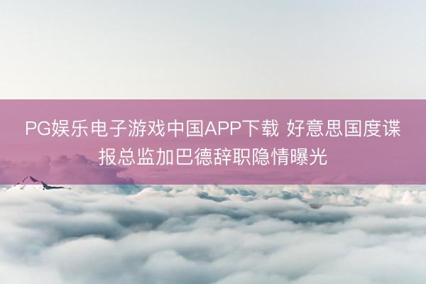 PG娱乐电子游戏中国APP下载 好意思国度谍报总监加巴德辞职隐情曝光